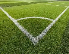 孙颖莎刷新,世界排名积,分最高纪录,bet365娱乐城,bet365体育